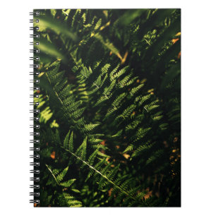 CUADERNO PLANTA VERDE FERNA EN FOTOGRAFÍA CERRADA