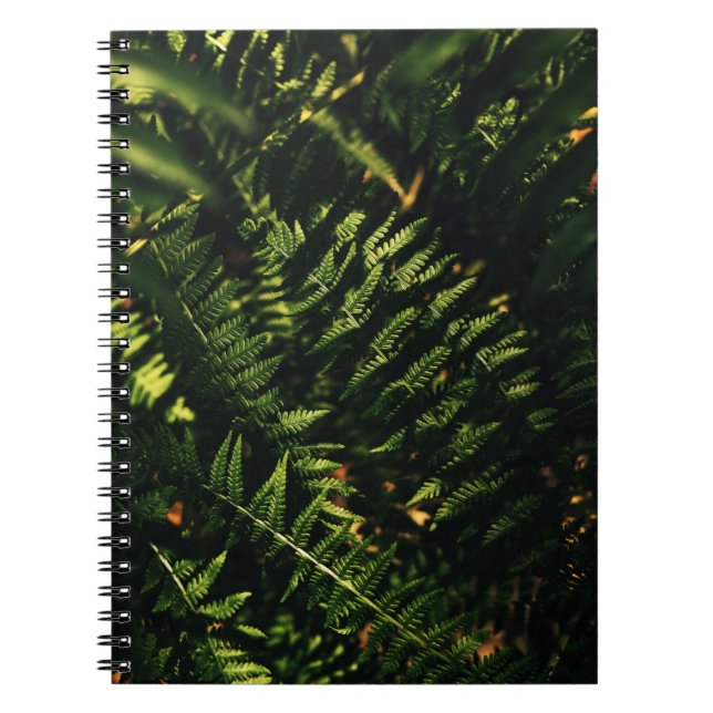 CUADERNO PLANTA VERDE FERNA EN FOTOGRAFÍA CERRADA (Frente)