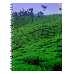 Cuaderno Plantación de té