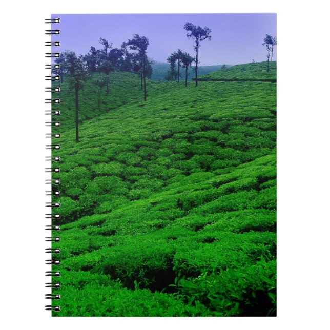 Cuaderno Plantación de té (Frente)