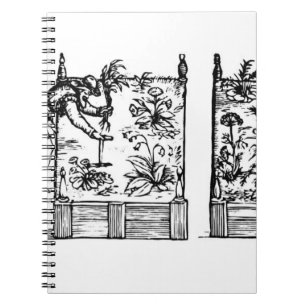 Cuaderno Plantando en camas aumentadas, 'del Laby del