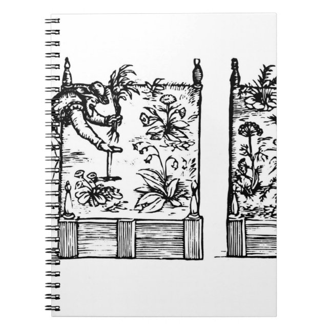 Cuaderno Plantando en camas aumentadas, 'del Laby del (Frente)