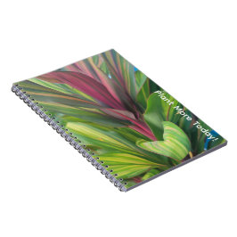 Cuaderno Plantar más