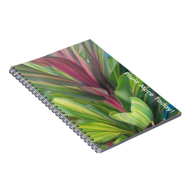 Cuaderno Plantar más (Lado Derecho)