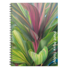 Cuaderno Plantar más
