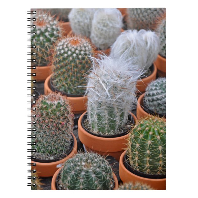 Cuaderno Plantas de cactus (Frente)