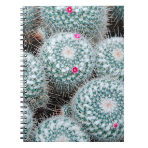 Cuaderno Plantas de cactus con flores rosadas muy pequeñas
