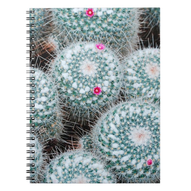 Cuaderno Plantas de cactus con flores rosadas muy pequeñas (Frente)