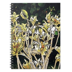 Cuaderno Plantas de Cuba
