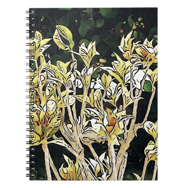 Cuaderno Plantas de Cuba (Frente)
