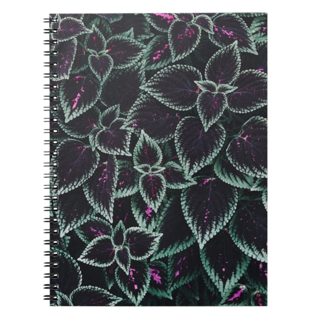 Cuaderno Plantas de hoja verde y marrón (Frente)
