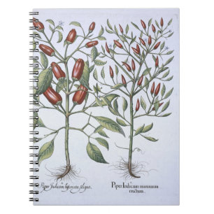 Cuaderno Plantas de la pimienta de chiles, del 'Hortus