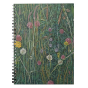 Cuaderno Plantas del Machair 2008
