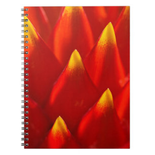 Cuaderno Plantas rojas y verdes en fotografía de cerca