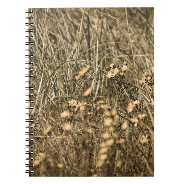Cuaderno plantas secas irregulares en una playa cubierta de (Frente)