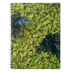 Cuaderno Plantas verdes arboladas