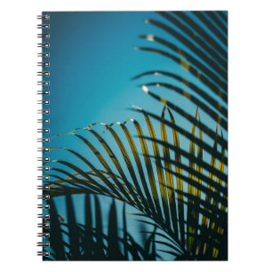 Cuaderno Plantas verdes de palma bajo cielo azul por la mañ
