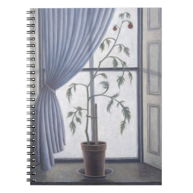 Cuaderno Plante en la ventana 2003 (Frente)