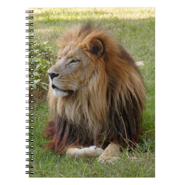 Cuaderno Plantilla-Cuaderno (8x10) (Frente)