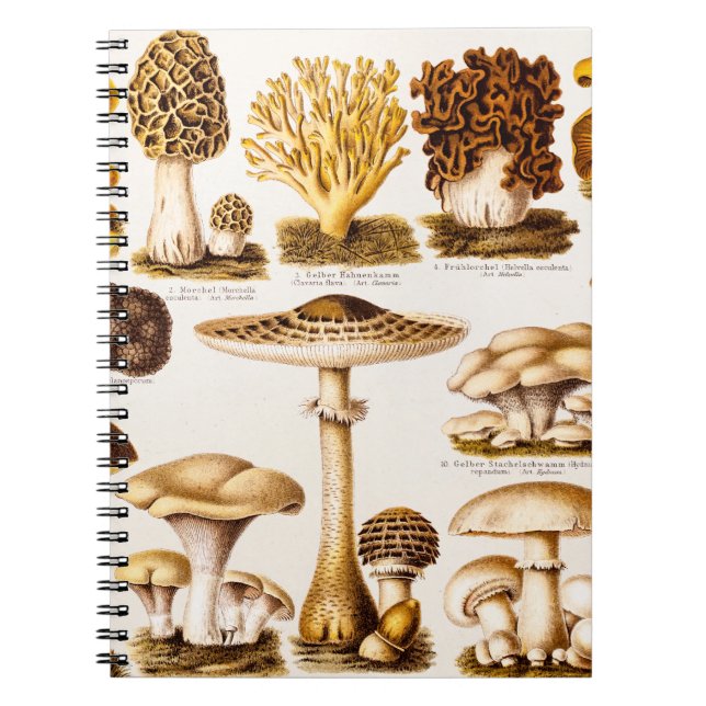 Cuaderno Plantilla de la variedad de la seta de los 1800s (Frente)