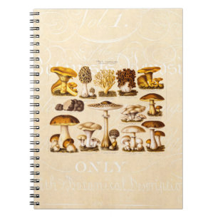 Cuaderno Plantilla de las setas de la variedad de la seta
