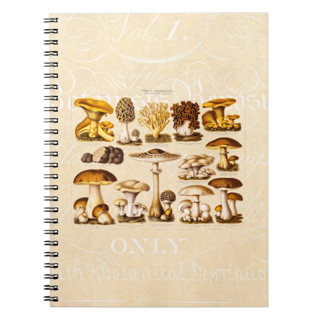Cuaderno Plantilla de las setas de la variedad de la seta (Frente)