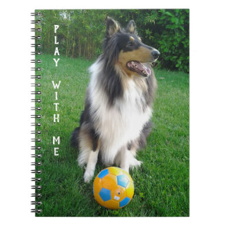 Cuaderno Play with me. Fans de football.