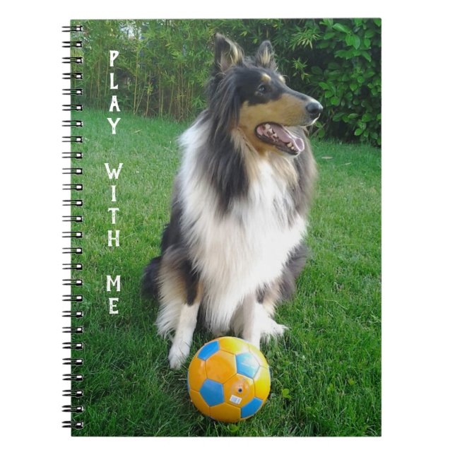 Cuaderno Play with me. Fans de football. (Frente)