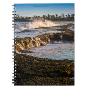 Cuaderno Playa de Tabuba: Ondas de fractura en los filones
