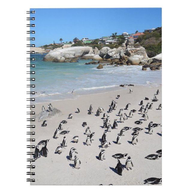 Cuaderno Playa Penguins Boulders | Sudáfrica (Frente)