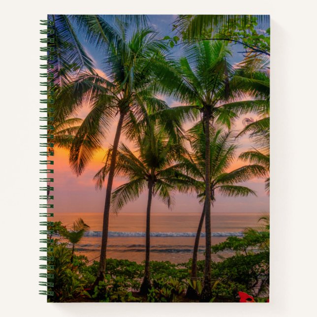 Cuaderno Playa Tropical | Parque nacional Corcovado (Anverso)