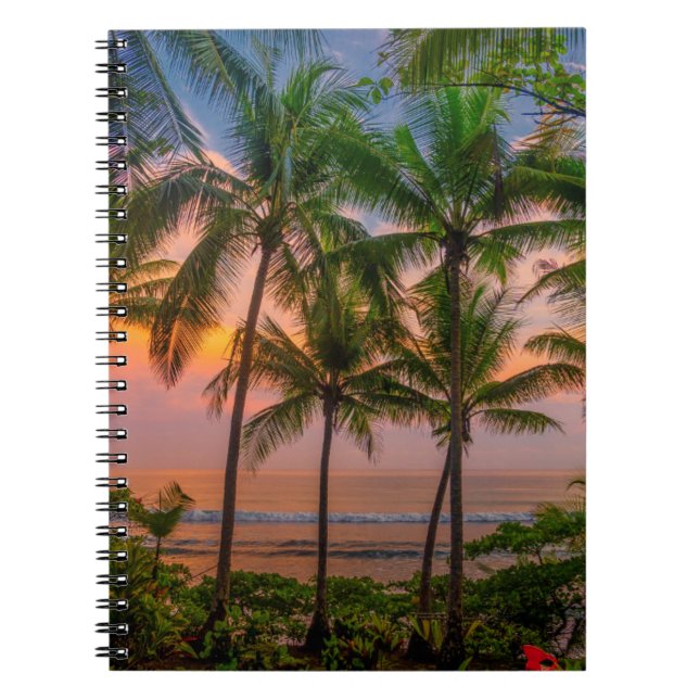Cuaderno Playa Tropical | Parque nacional Corcovado (Frente)