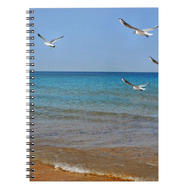 Cuaderno Playa y gaviotas (Frente)