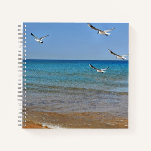 Cuaderno Playa y gaviotas (Anverso)