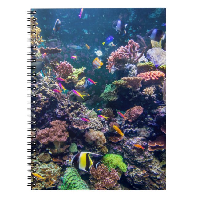 Cuaderno Playas tropicales | Arrecife de coral subacuática (Frente)