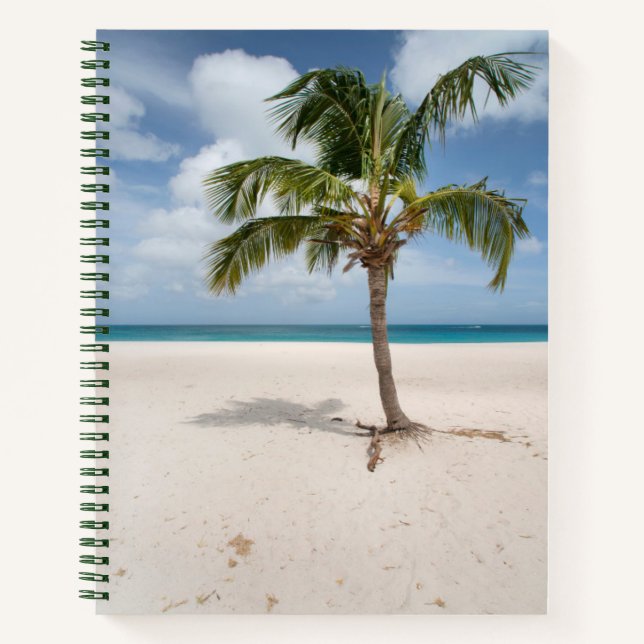 Cuaderno Playas tropicales | Eagle Beach, Aruba (Anverso)