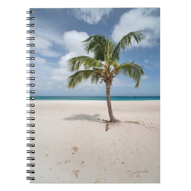 Cuaderno Playas tropicales | Eagle Beach, Aruba (Frente)