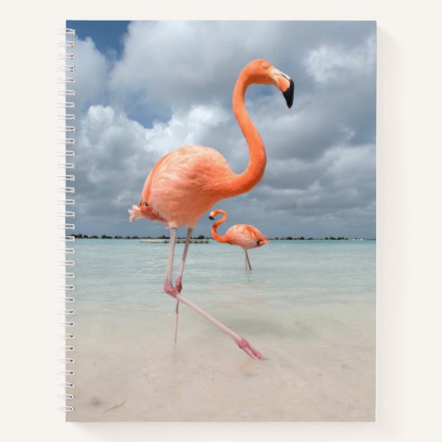 Cuaderno Playas tropicales | Playa Flamingos, Aruba (Anverso)