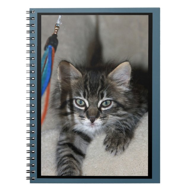 Cuaderno Playful Kitten Kimber Notebook (Frente)