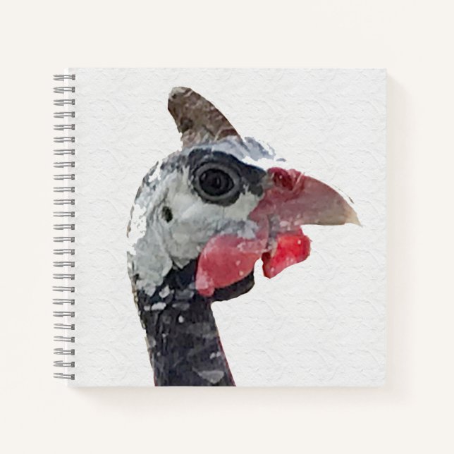 Cuaderno Plaza Charlie (Anverso)