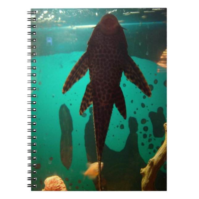 Cuaderno Pleco (Frente)