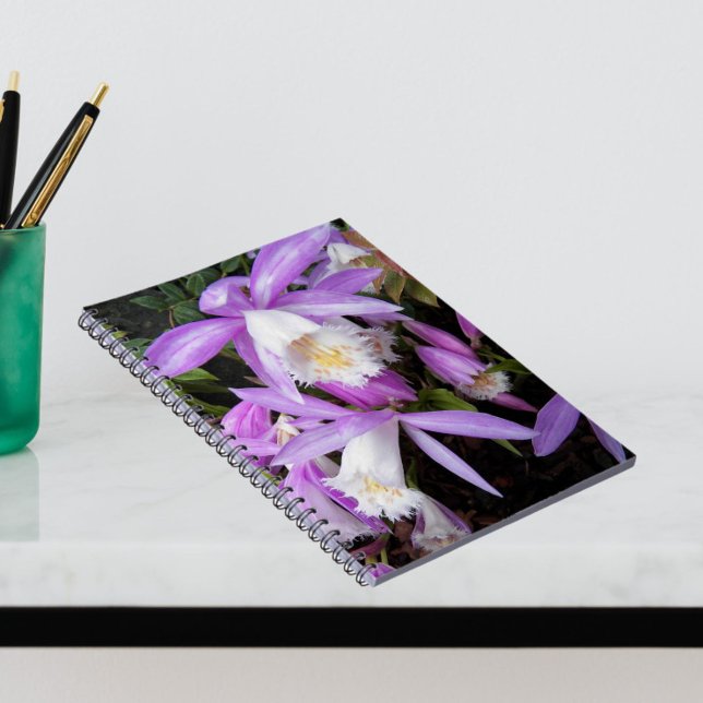 Cuaderno Pleione Windowsill Orchids Floral (In Situ)