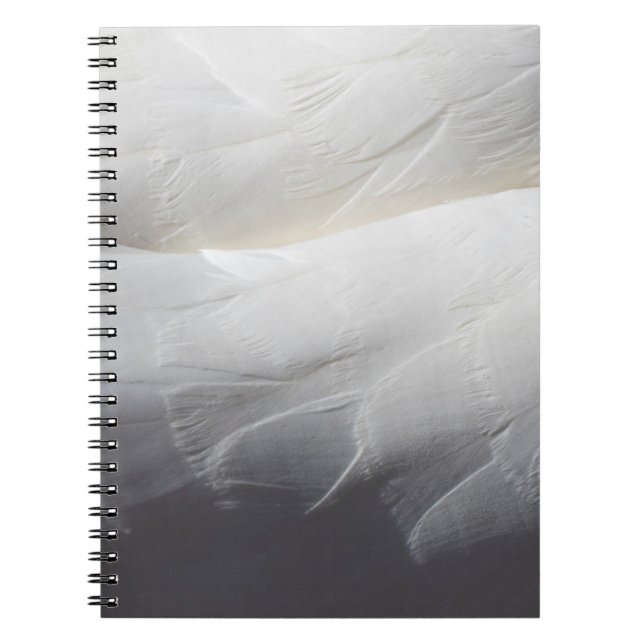 Cuaderno Pluma blanca de cisne (Frente)