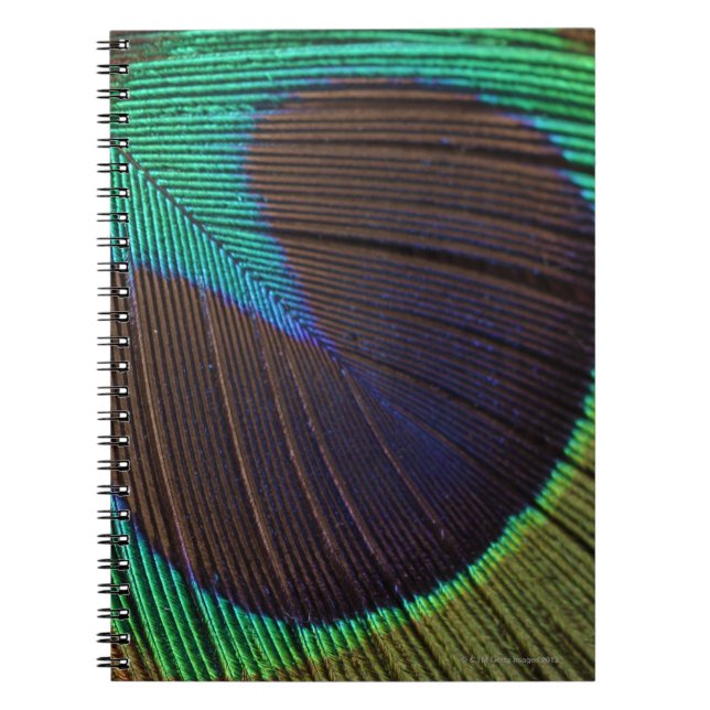 Cuaderno Pluma de pavo real (Frente)