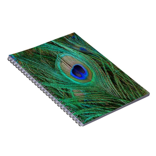 Cuaderno Pluma de pavo real azul india (Lado Derecho)