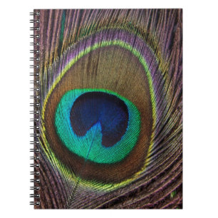 Cuaderno Pluma de pavo real colorida personalizada