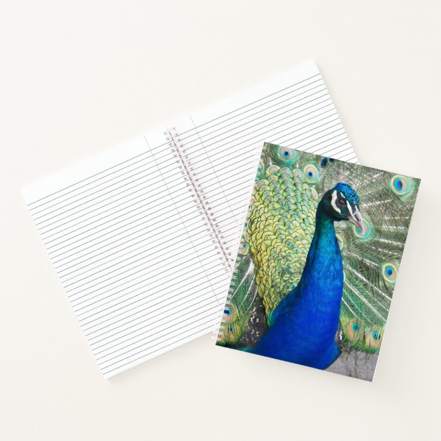 Cuaderno Plumas de Pavo Real Azul Preciosas (Interior)