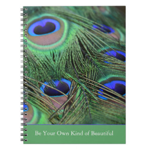 Cuaderno Plumas de pavo real de Kauai (fotografía por mí)