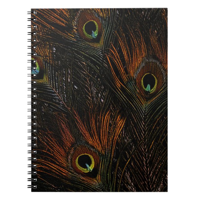 Cuaderno Plumas de pavo real de mandarina oscura (Frente)