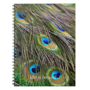 Cuaderno Plumas de pavo real Kauai (mi fotografía)